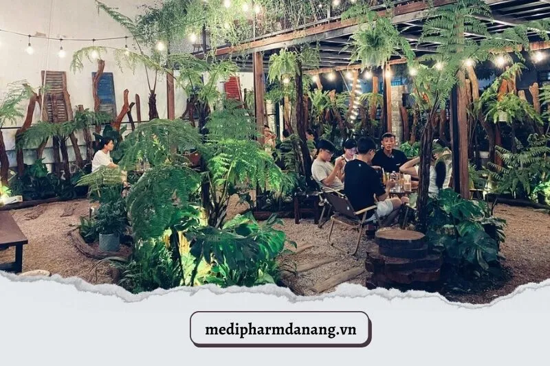 Acacia Café by Cây Si