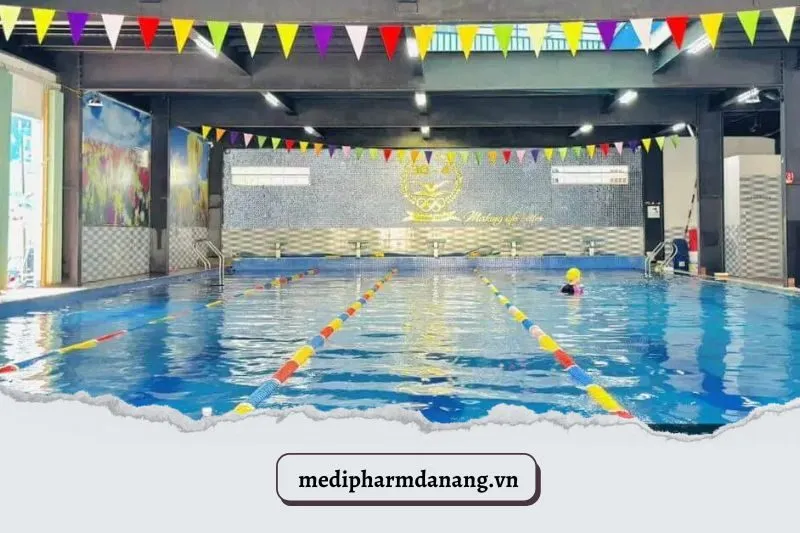 Bể Bơi Thành Tích Cao
