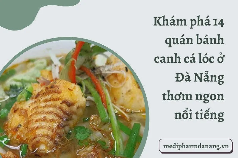 Khám phá 14 quán bánh canh cá lóc ở Đà Nẵng thơm ngon nổi tiếng