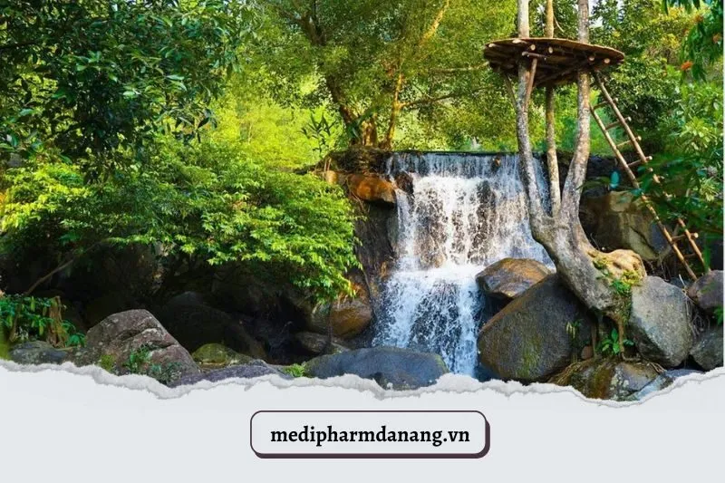 Suối Hoa Đà Nẵng