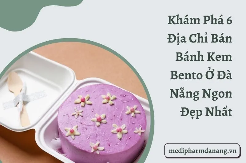 Khám Phá 6 Địa Chỉ Bán Bánh Kem Bento Ở Đà Nẵng Ngon Đẹp Nhất