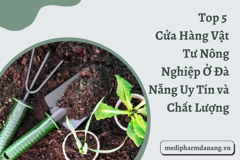 Top 5 Cửa Hàng Vật Tư Nông Nghiệp Ở Đà Nẵng Uy Tín và Chất Lượng