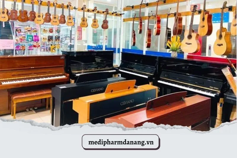 Trung Tâm Âm Nhạc Vĩnh Anh