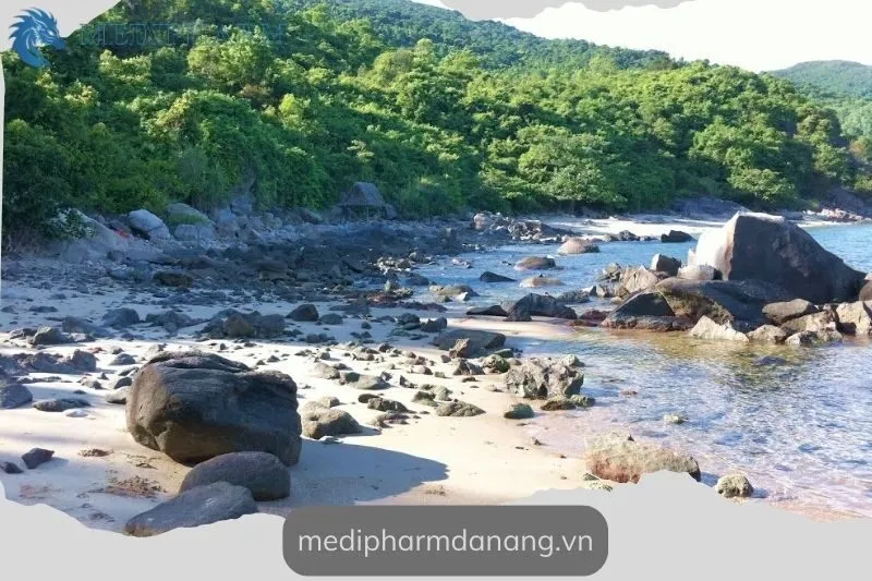 bai-da-den-da-nang-tong-quan