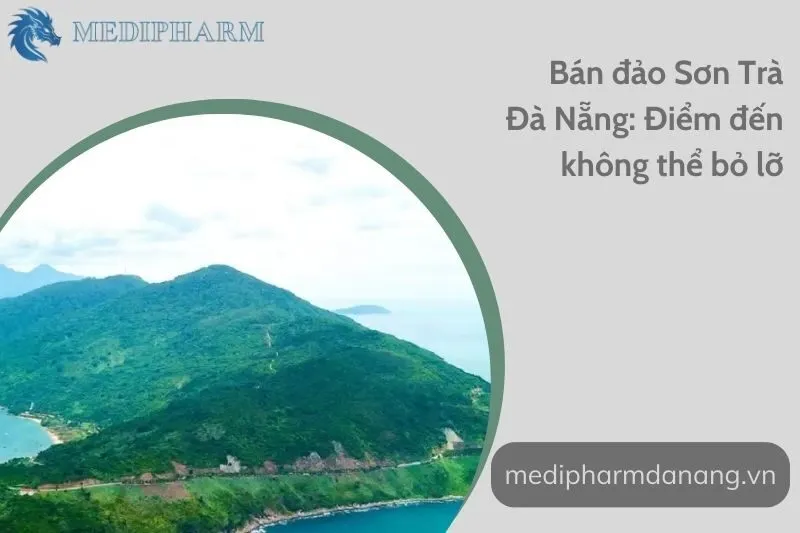ban-dao-son-tra-da-nang-diem-den-khong-the-bo-lo