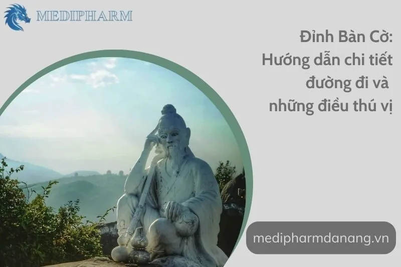 dinh-ban-co-huong-dan-chi-tiet-duong-di-va-nhung-dieu-thu-vi