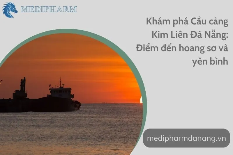 kham-pha-cau-cang-kim-lien-da-nang-diem-den-hoang-so-va-yen-binh