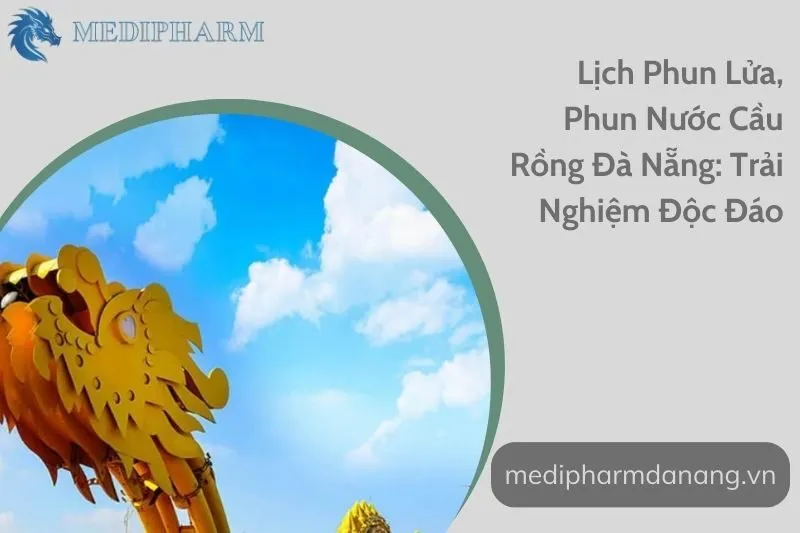 lich-phun-lua-phun-nuoc-cau-rong-da-nang-trai-nghiem-doc-dao