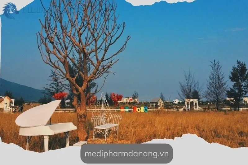 nhung-hoat-dong-noi-bat-tai-thuan-phuoc-field