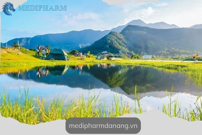 song-cu-de-da-nang-gioi-thieu-va-nhung-dieu-can-biet