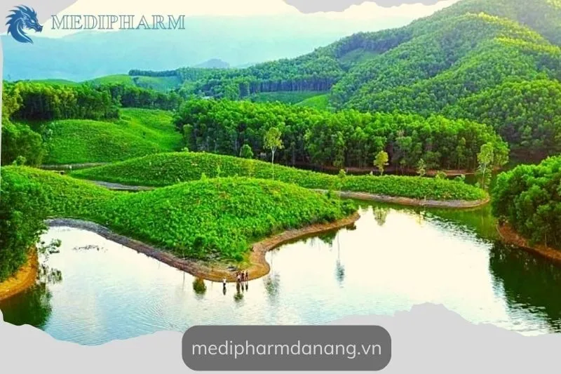 tai-sao-nen-ghe-tham-ho-hoa-trung-da-nang
