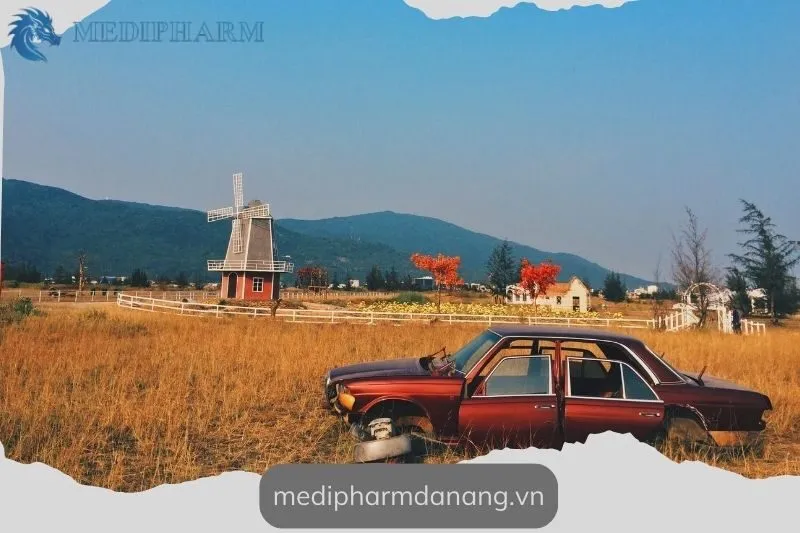 tat-tan-tat-thong-tin-can-biet-ve-thuan-phuoc-field